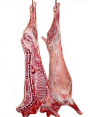 Carcasse de mouton de 13 kg