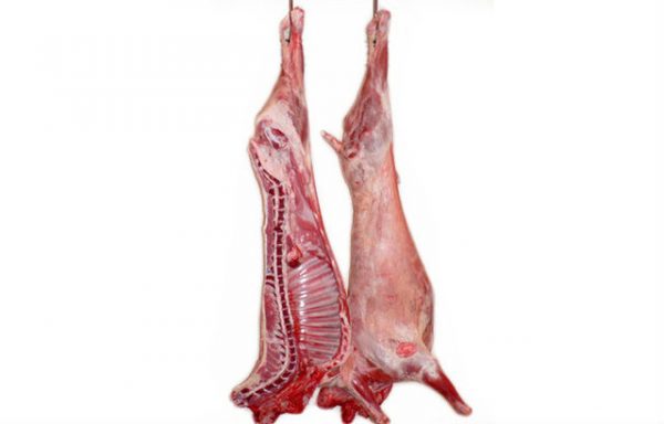 Carcasse de mouton de 13 kg