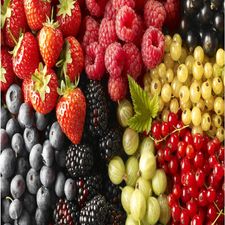 bio-produits-fruits-legumes